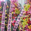 CSL메디칼 이미지