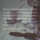 보태미농장 | 내게 있던 것? 오직 사랑이지.