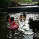 왕벌촌 네이버블로그