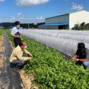 해남군농업기술센터 이미지