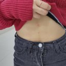 [공지] 🐷1년동안 다이어트한 직장인의 탈다이어트 회고록🐷_직관적식사/생활습관교정/다이어트 사고방식...