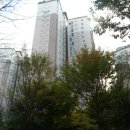 공도현대약국 Daum카페