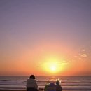 국선도 1 | 🌿 1월의 갈무리: 기적 같은 후기와 향기로운 배웅