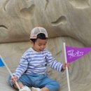 천사바다블라썸 이미지