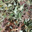 선학초등학교 이미지