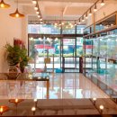 천안고양이 분양 퍼스트캣 본점 이미지