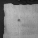 행운동물병원 이미지