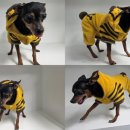 인동26길-5 이미지