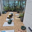 테라스치과의원 이미지