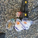 힐링데이 | 멍멍힐링데이 후기❤️