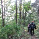 외포리버스터미널 이미지