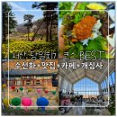 (주)가온 | 서산 당일치기 여행 코스｜유기방가옥 수선화 + 시골우렁쌈밥 + 카페 가온 + 개심사 (겹벚꽃 이번주 피크)