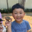 🐳❤️🌳자연의 아름다움을 느껴보자! - 숲체험, 돌 한국화 그리기🌱❤️🐳 이미지