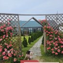 궁촌농장 | 원주 가볼만한 곳 체험형 카페 로사넬라 후기(+내돈내산)