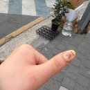 라방드네일 이미지