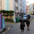 호현로387번길 이미지