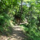 원주굽이길 1코스 배부른산길 이미지