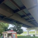 연소프트 | 양평 두물머리연핫도그 원조, 주차, 찾아가는 길 후기 (짭 주의) | 연잎 소프트 아이스크림 후기