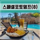 월림농장 | [스페셜 포토덤프.8] 다시 꺼내보는 제주도 여행 관광지, 숙소 후기