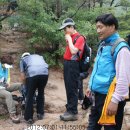 도마초등학교 이미지