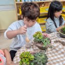 송림초등학교병설유치원 이미지