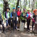 신복초등학교 이미지