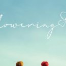 개화-꽃의 노래 이미지