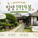 1919봄 | 밀양 카페 추천｜한옥 감성 가득한 1919봄 방문 후기