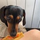 올댓멍즈 이미지