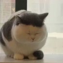 티엠아이 이미지