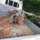 산청군농협단성지점 이미지