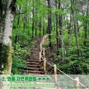 장수방화동가족휴가촌자동차야영장 이미지