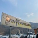 단양 송어회 맛집 천동송어회센터 구경시장 먹거리 추천 단양흑마늘닭강정 꼬마뚱김밥