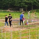 암봉농장 이미지