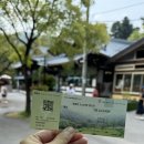 아침봄빵집 | 가평 가볼만한곳 아침고요수목원 드라이브 코스 추천