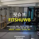 슈브핏 이미지