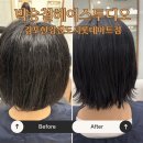 [장기동 미용실] 박승철헤어스투디오 김포한강신도시롯데마트점 태슬컷 단발펌 후기