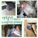 시나브로누수설비 | 동촌동 누수탐지 학산동 집안누수