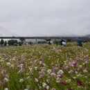 한강시민공원 이미지