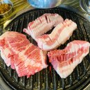 팔팔돼지(88돼지) 이미지