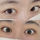 [Review] 연예인 망원동 속눈썹 맛집 I 일대일 커스텀 눈썹 전문, 벨루스 뷰티 후기