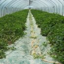 기석농장 이미지