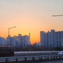 인제02-2 | 강원도 인제 속삭이는 자작나무 숲 버스투어 후기