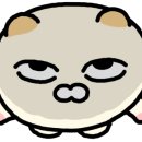 팔달세탁소 이미지