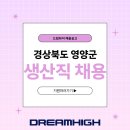 드림인력 이미지