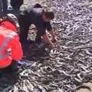 수천목장 이미지