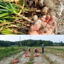 분토골농장 이미지