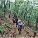 내곡동463 이미지