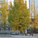 상하동입구 이미지