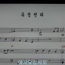 유정천리*악보영상*노래&더빙연주* 이미지